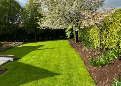 Alan Kingsberry Garden Services | Put Garden Maintenance on Autopilot